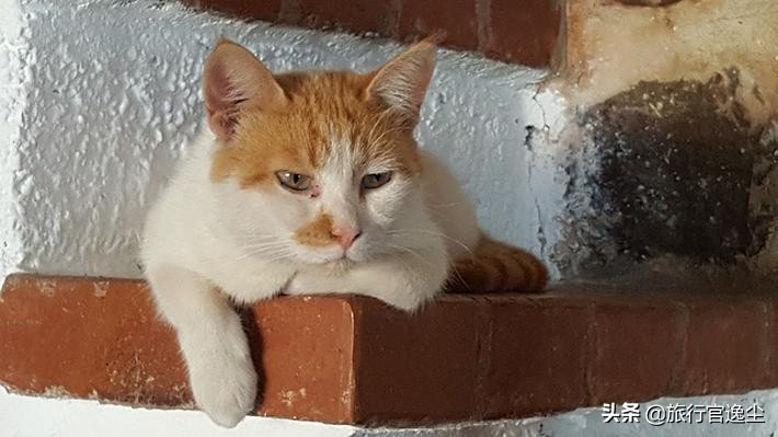 入境希腊注意事项,希腊旅游自驾游注意事项