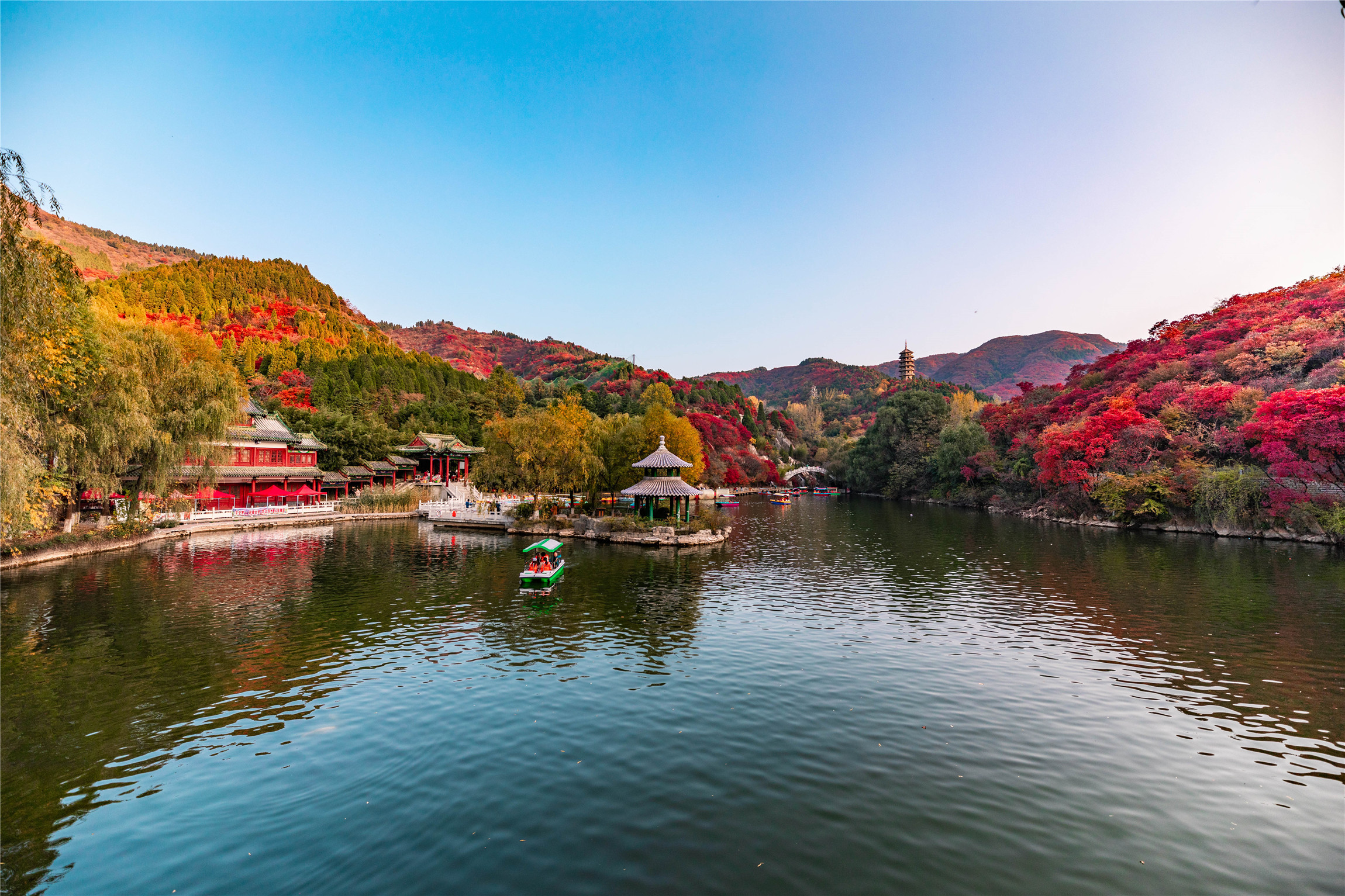 济南红叶谷赏红叶的最佳时间,济南红叶谷今年最佳观赏红叶时间
