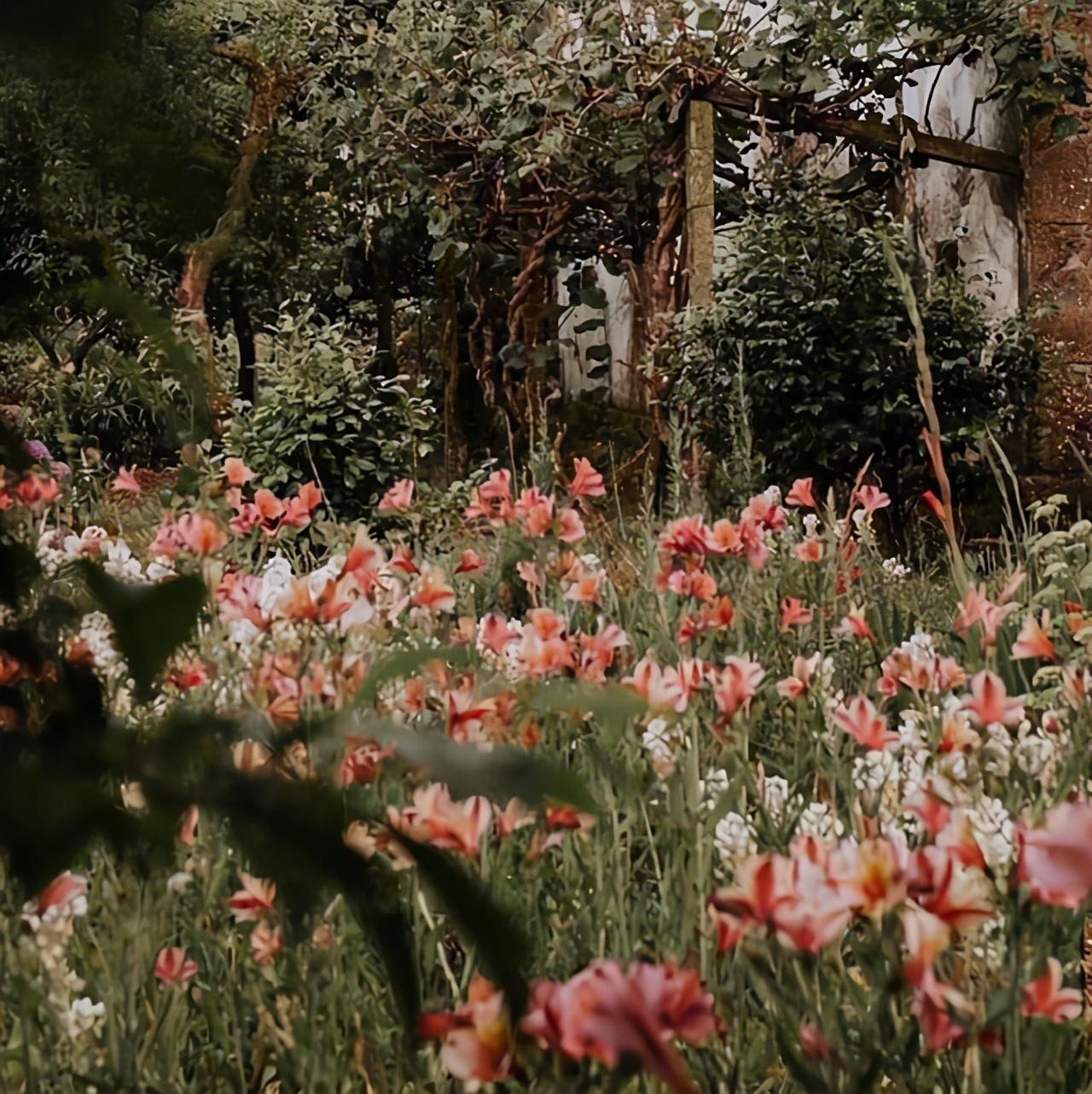 心中有阳光雨中也浪漫,心中有阳光雨中也浪漫表达什么