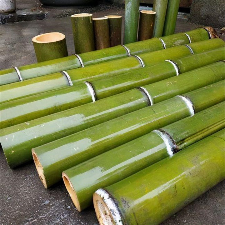 “竹子开花，马上搬家”，竹子开花真的预示有“大灾”要发生吗？