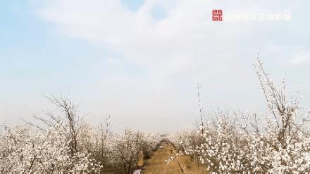 绌烘腐鑺辩敯濂界編,绌烘腐鑺辩敯鐪熺編