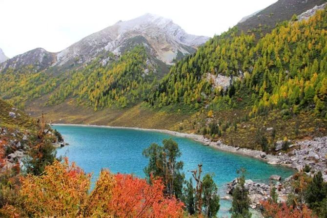 秋天最值得去的四个地方,秋天全部的风景