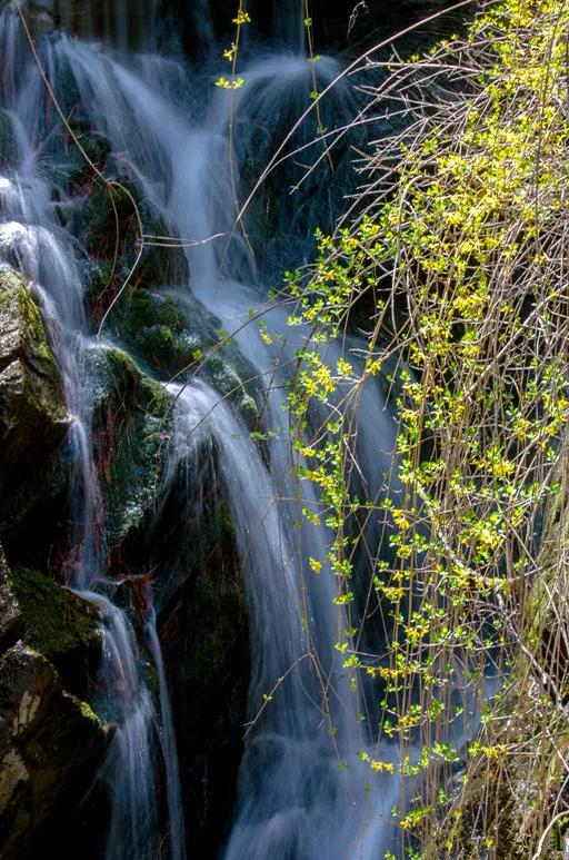 媲美四川九寨沟！山东这些地方野趣十足，承包夏天90%的清凉！