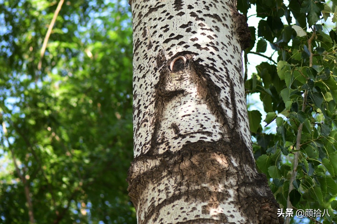 北京圆明园一日游推荐,圆明园秋色如画