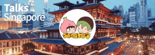 国内都有哪些新加坡品牌,新加坡最出名品牌