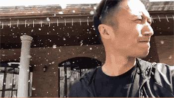 被柳絮困扰,被柳絮搞到崩溃是什么体验