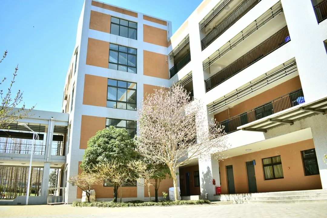 郑州最好的民办高中前48名排名,郑州高中top1