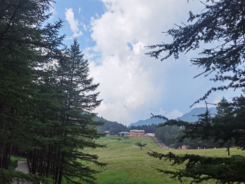 驼梁一日游日记,五台县南驼梁游记