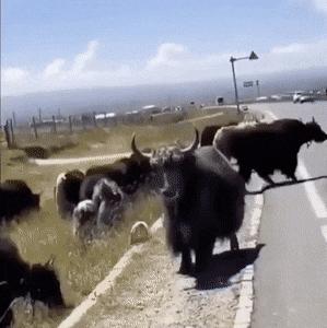 如何让腿变长视频,如何让腿变长变好看