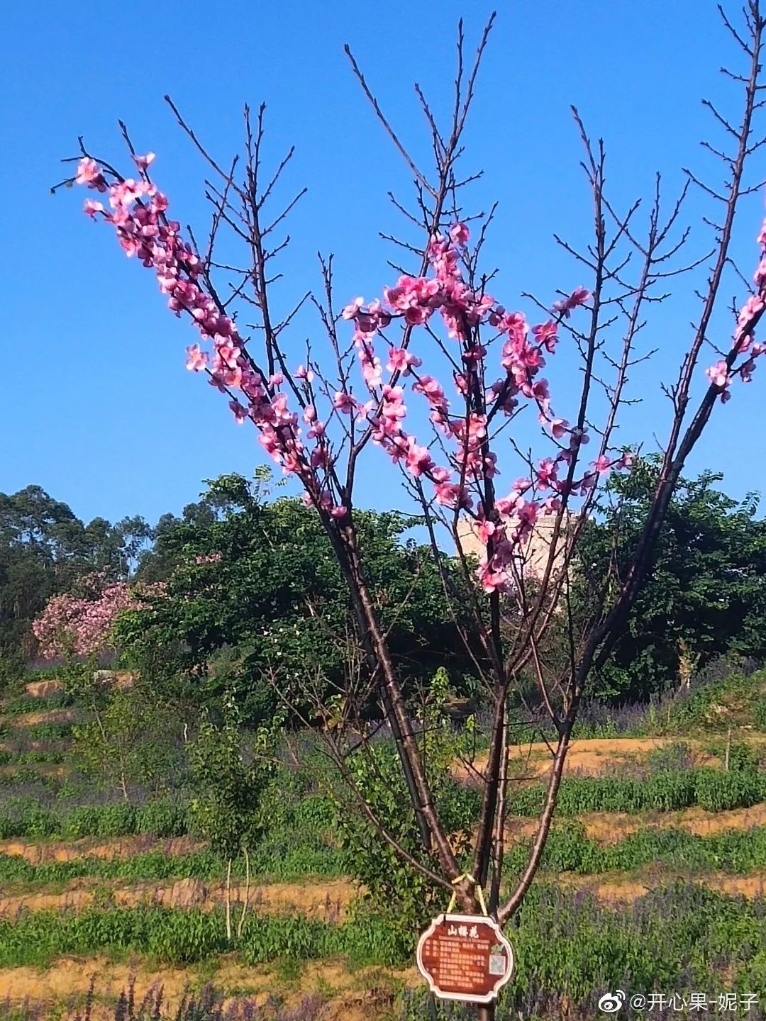 东山岛美丽的风光,美丽魅力东山岛