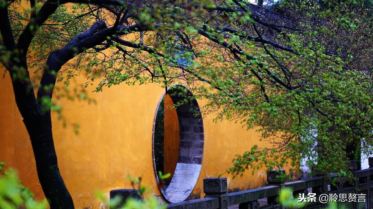 十首顶级哲理诗词名句,经典诗句励志古诗句