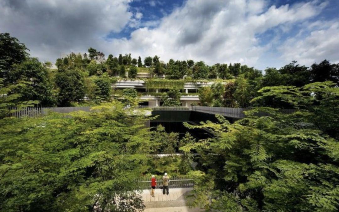 新加坡人口为什么这么少,新加坡最新人口比例