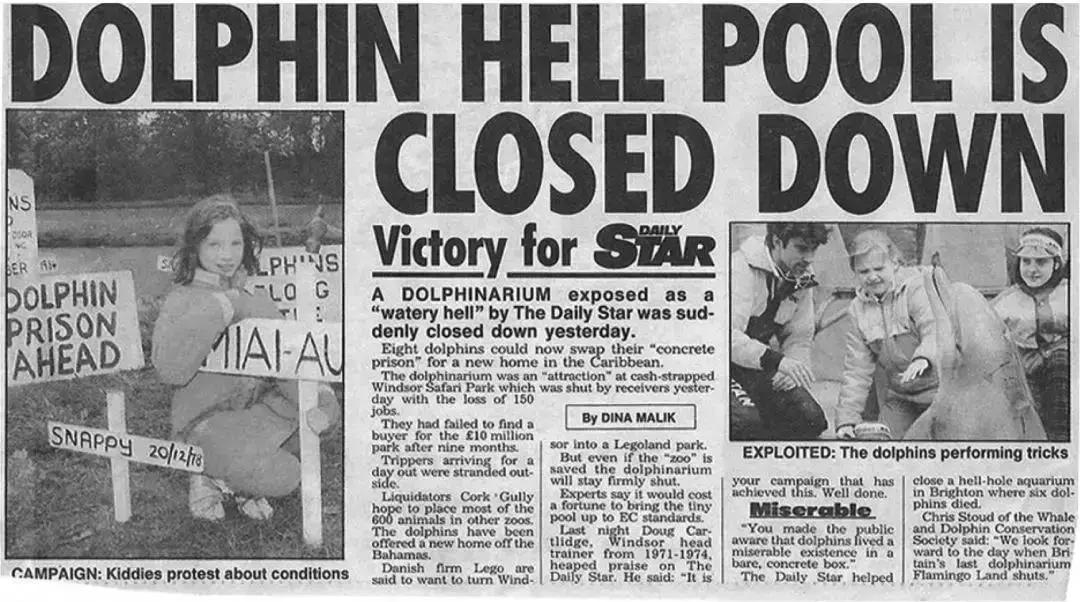 难得一见海洋动物表演,看不完的海洋动物和表演