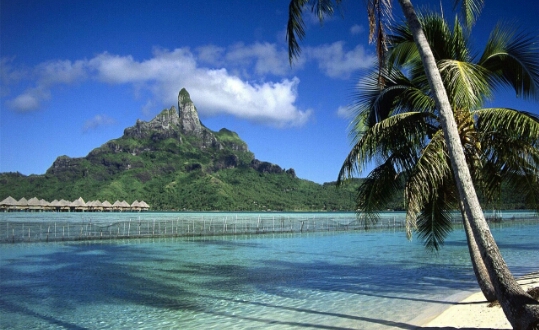 八年级下数学特殊四边形题型归纳,特殊平行四边形动点问题