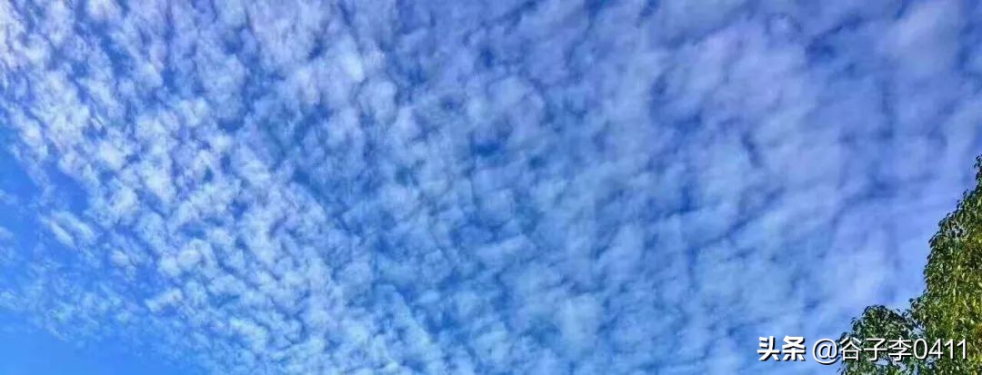 小聂的正确跑法视频,小聂跑法靠谱吗