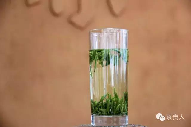 茶眼看陕西,茶眼看陕西最新视频