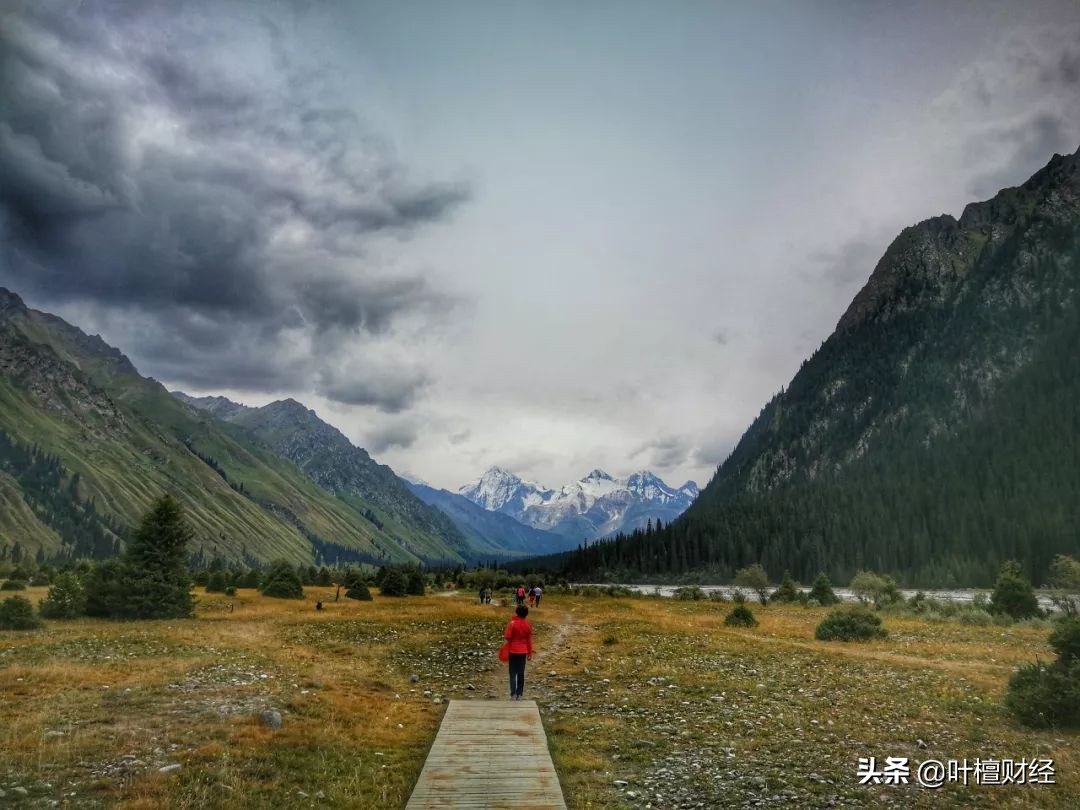 疯狂牛市背后的财富大转移,疯狂牛市背后的财富