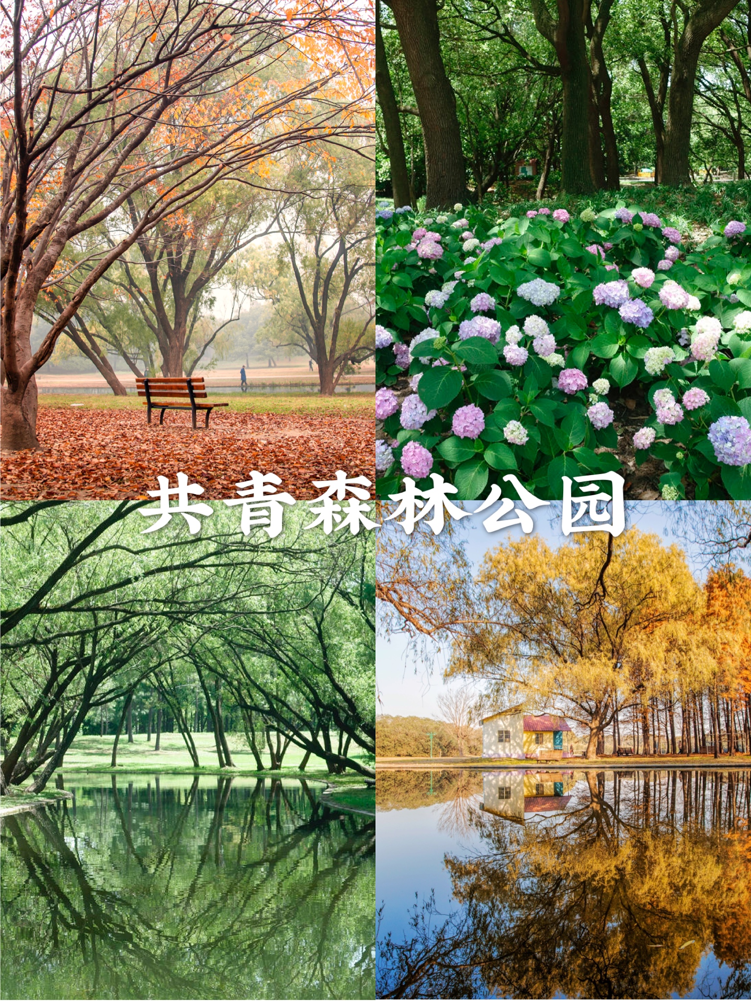 金秋上海最值得逛的公园,上海适合游玩的公园排行榜