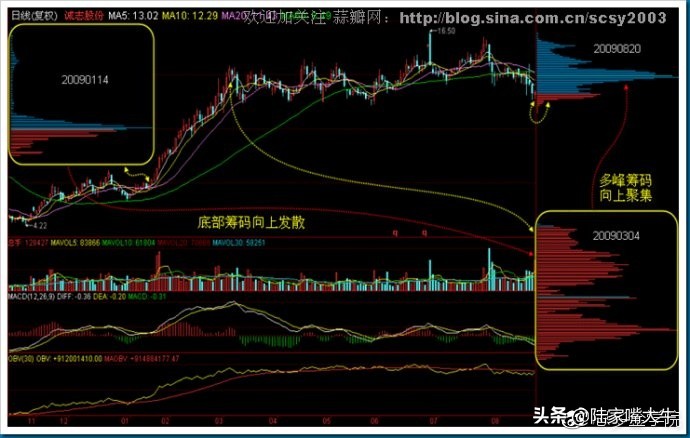 筹码分布战法全套讲解,筹码分布运用详解大全