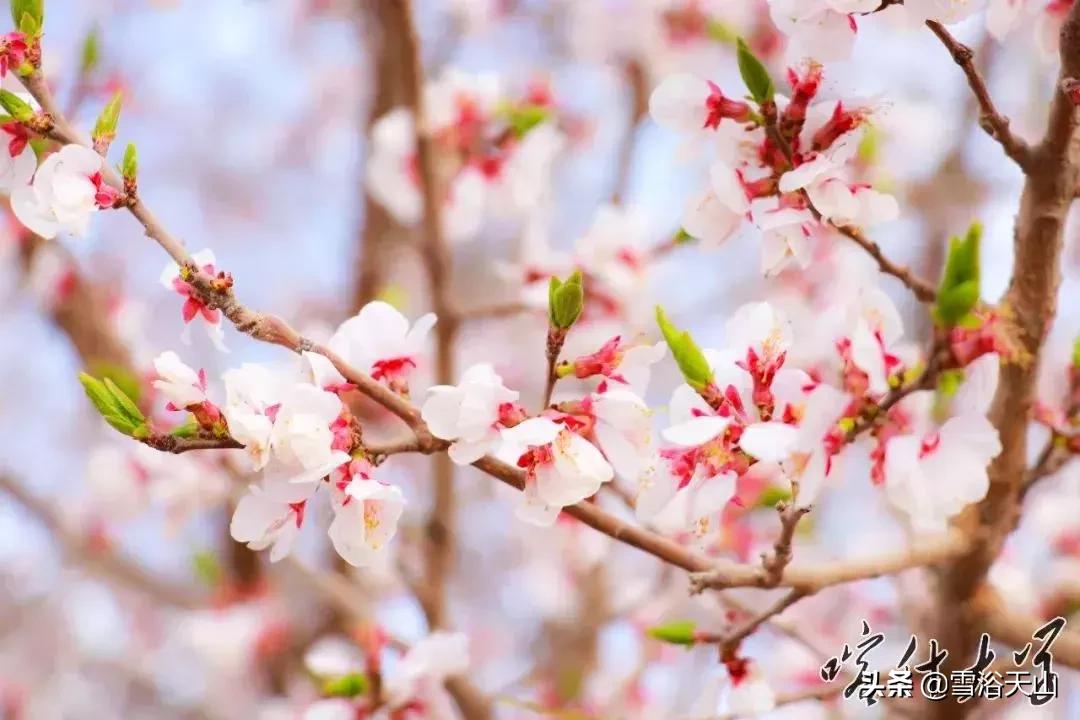 你好，喀什大学！！！中国最西边的大学