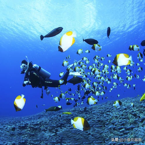 越南芽庄旅游真实情况,去越南50个必去景点