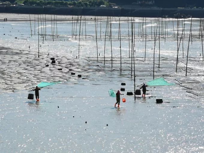 中国最美的海岸线霞浦,霞浦旅游之美