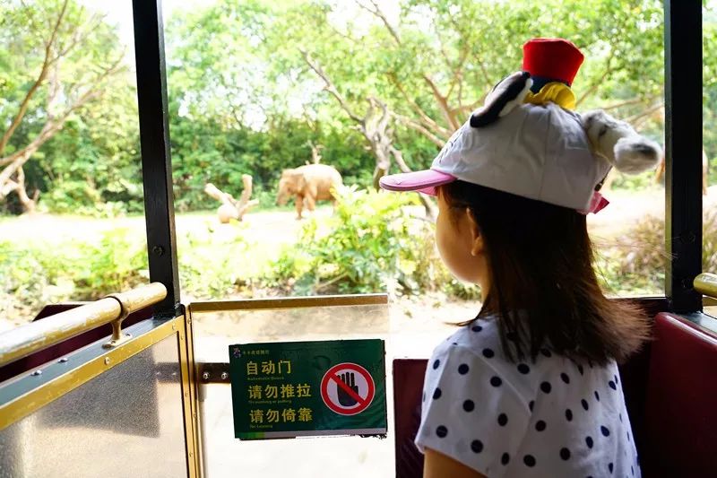 广州旅游攻略长隆动物世界,亲子游广州长隆动物园