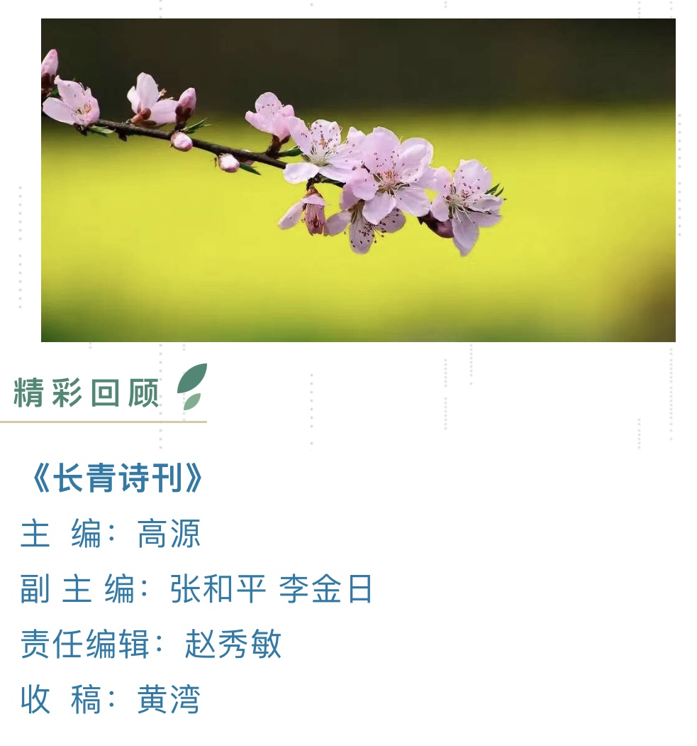 长青诗社诗词,长青诗刊