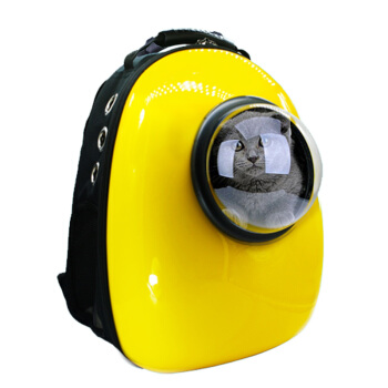 宠物托运常识,宠物托运知识分享素材