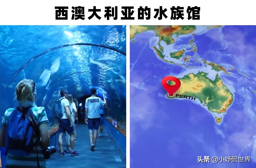 全球最大的三个大型水族馆,世界最著名的淡水水族馆