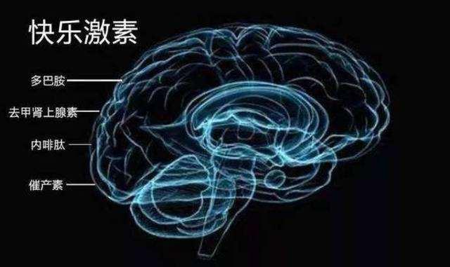 多巴胺快感和成就感的区别,冰会刺激多巴胺吗