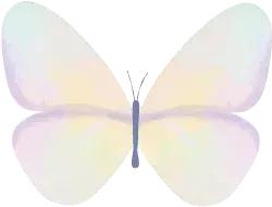 惠州虹海湾旅游攻略,惠州海边虹海湾