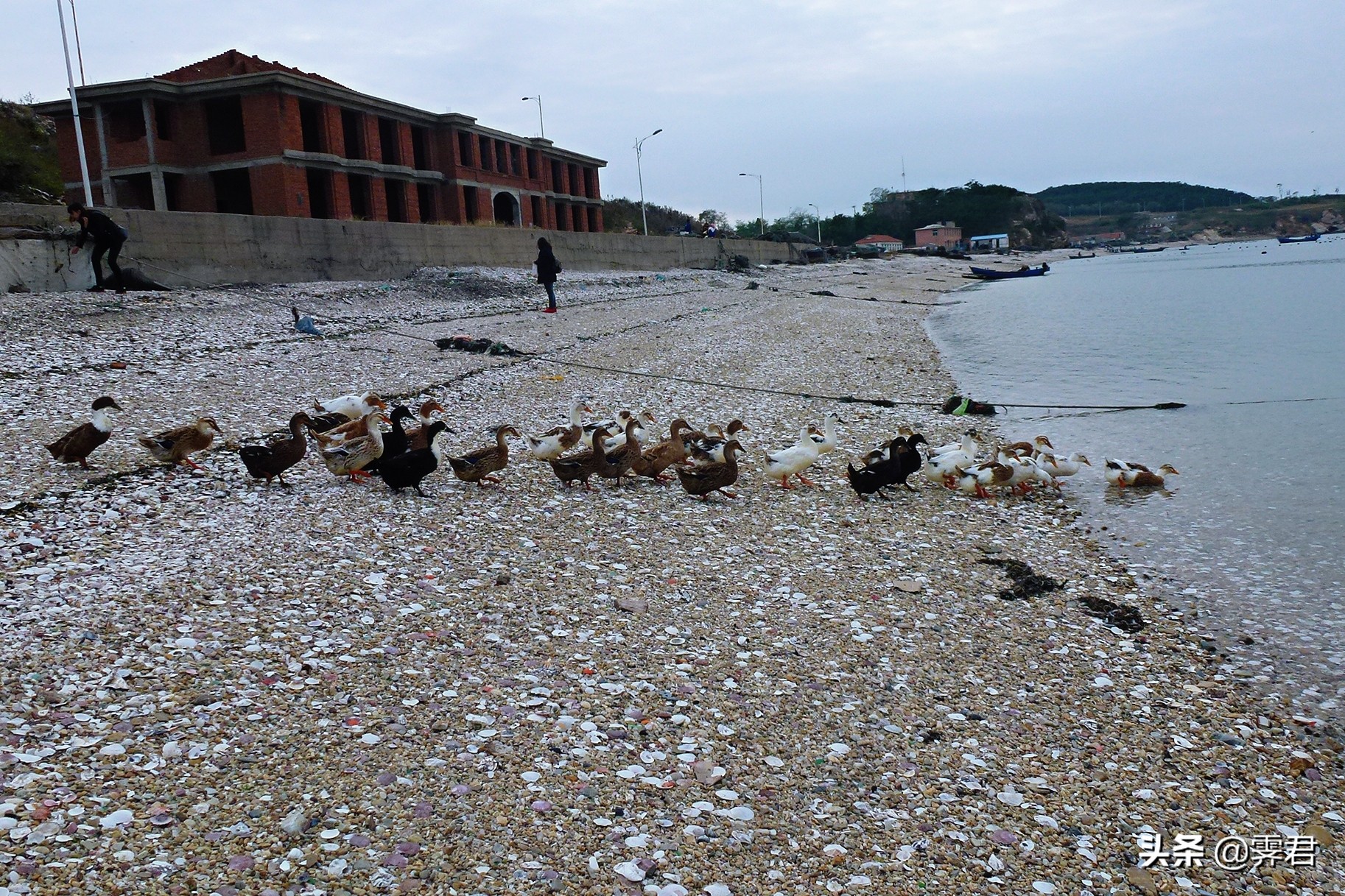 大连皮口港当天往返攻略,大连皮口港坐船攻略