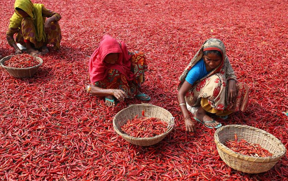 孟加拉国那么小为什么人口这么多,孟加拉国面积和人口是多少