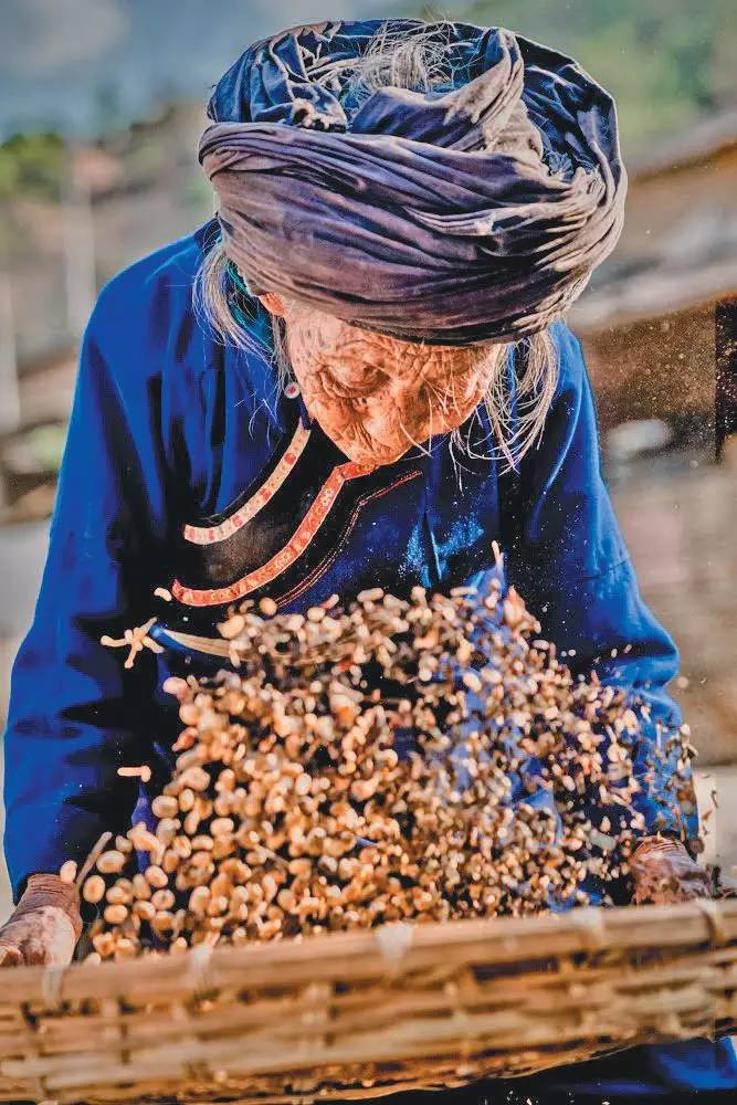 云南小粒咖啡产业现状及发展前景,云南小粒咖啡炭烧风味咖啡