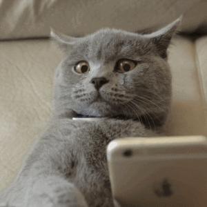 休闲羊毛绒厚外套怎么穿都好看,羊羔绒外套适合多大年纪穿女性