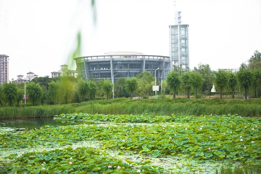 大连理工大学毕业就业率,大连理工大学毕业能挣多少