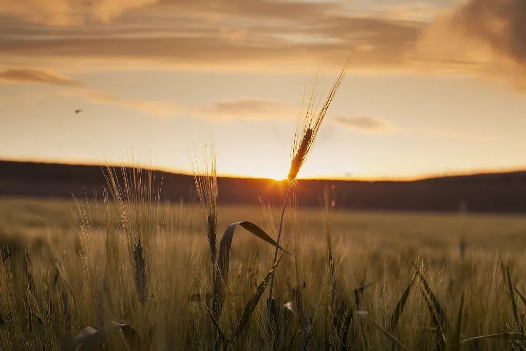 刘丰老师讲不懂得珍惜,刘丰老师身心疗愈