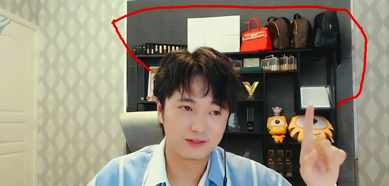 王者荣耀ts都玩哪些英雄,王者荣耀ts战队高光时刻解说