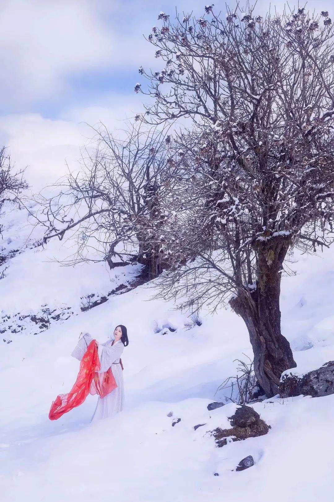 关于夏天很热的诗句解析,一到六年级描写夏天的诗句有哪些