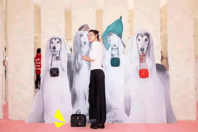 2019年，我花了30万买了19个包包