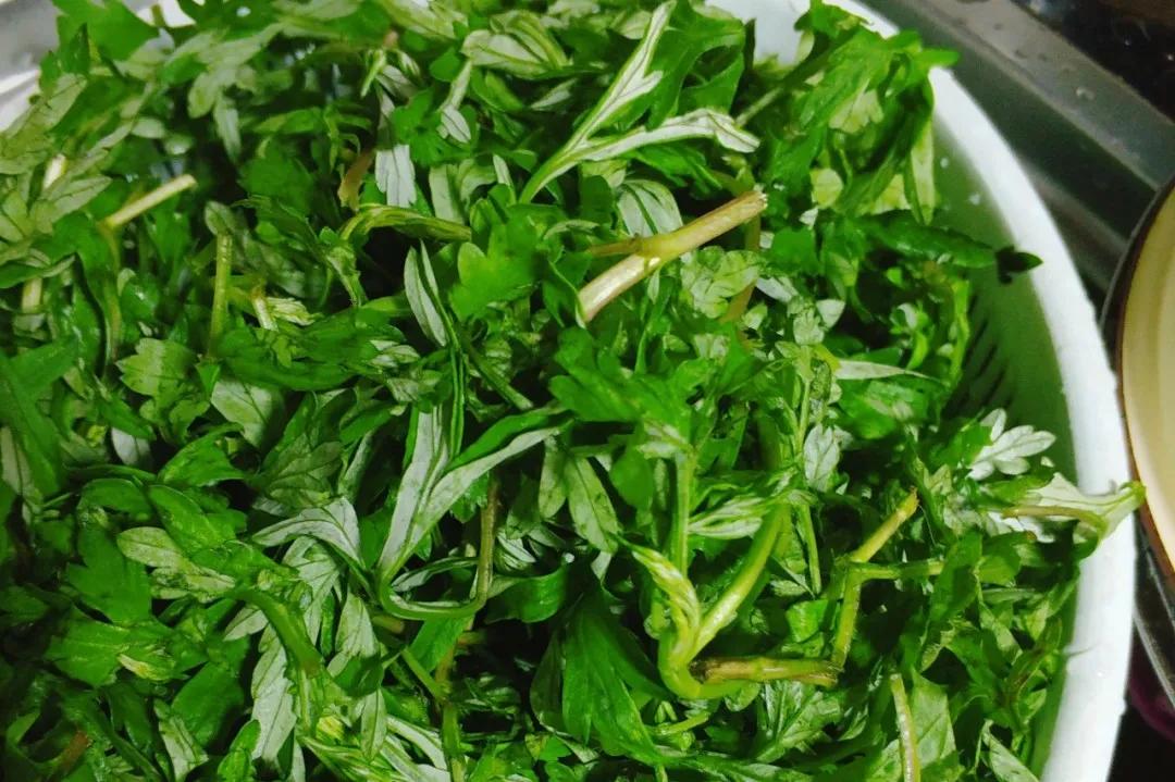 测评|江浙沪青团*b大**attle,翻车的竟是这家杭州老字号