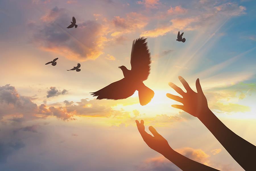 装修电话营销,装修业务员电话话术