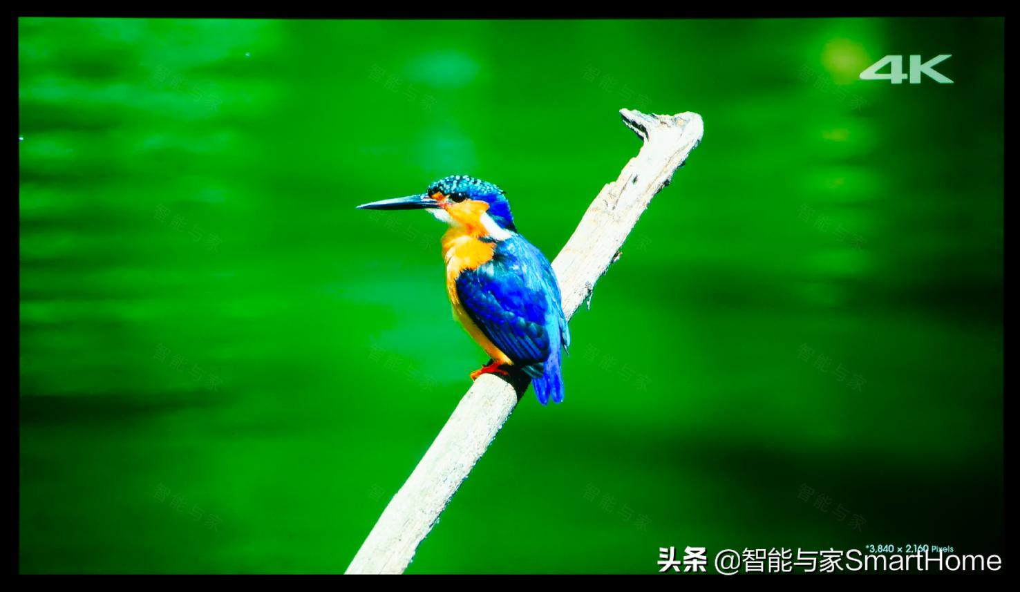 索尼投影vpl-vw558,索尼VW598原生4K投影机