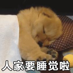 狗狗睡梦中突然尖叫是做噩梦了吗,狗狗睡觉做梦呜呜的低吼怎么解决