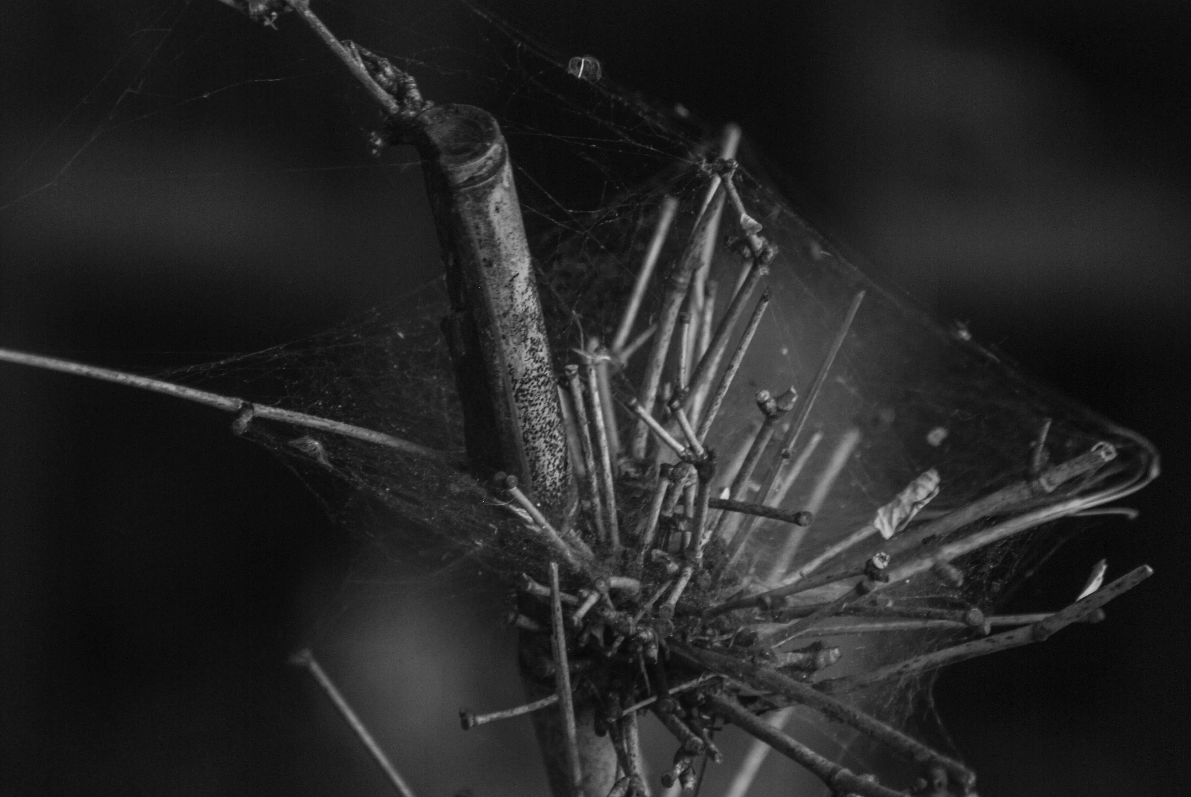 1000多的二手单反值得买吗,1000元左右二手单反全画幅