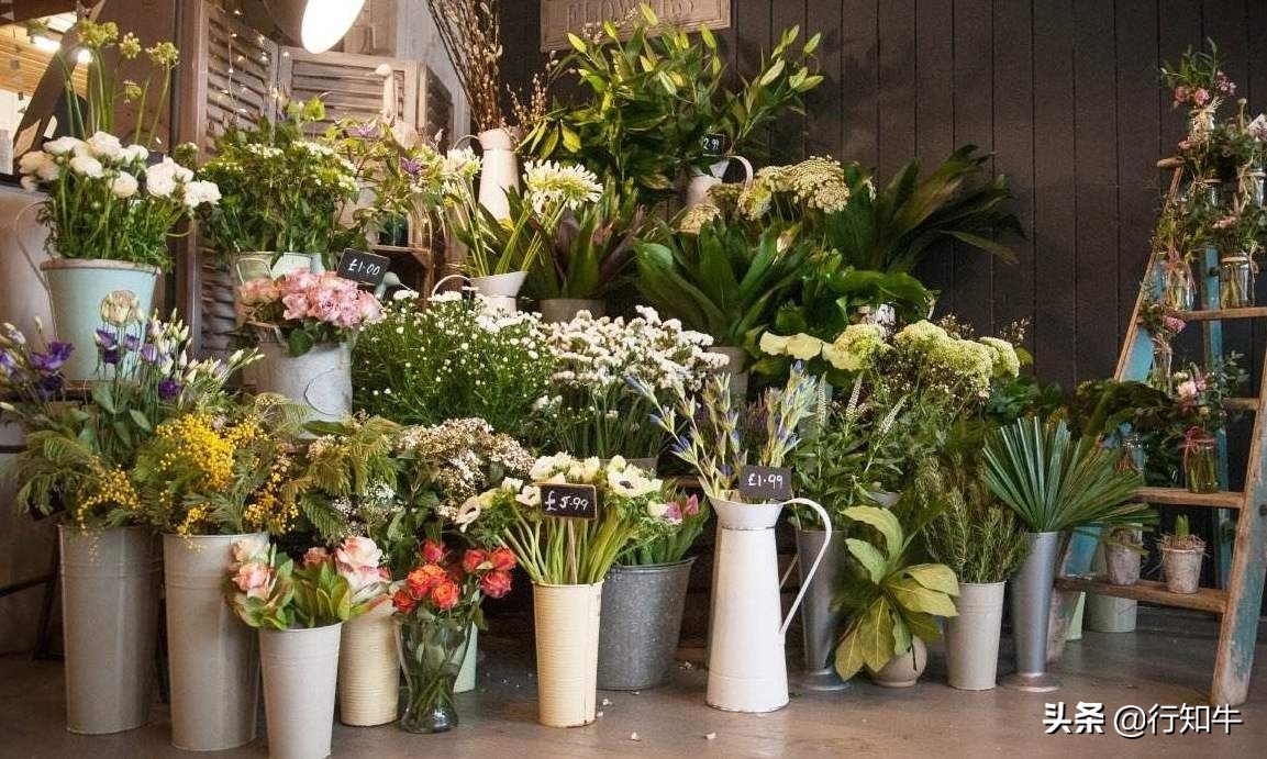 2020年生意为什么那么难做,生意不好做没有更好的出路怎么办