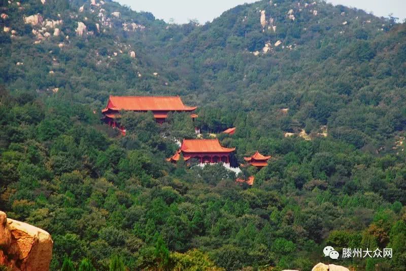 为什么要留在城市,为什么要留在家乡