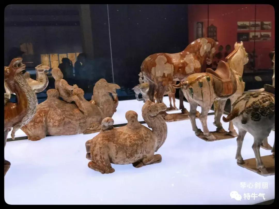 赤金走龙陕西历史博物馆,陕西历史博物馆抢票攻略