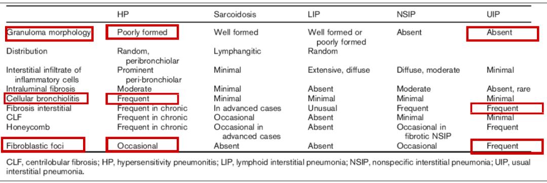 养鸽子造成皮肤真菌感染,养鸽子会得肺炎吗